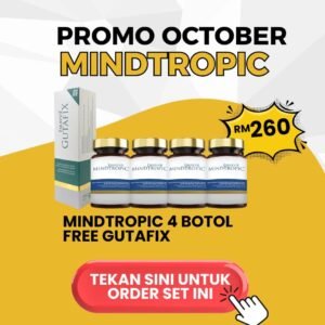Mindtropic 4 (Free Gutafix Trial)